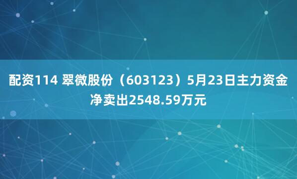 配资114 翠微股份（603123）5月23日主力资金净卖出2548.59万元