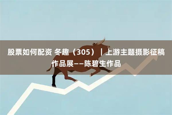 股票如何配资 冬趣（305）｜上游主题摄影征稿作品展——陈碧生作品